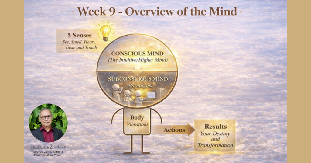 Stickperson concept depicting the Conscious and Subconscious Mind, the Body, the 5 senses where the Thoughts generates the Emotions/Vibrations that triggers the Actions and generate the Results we experience. It also represents the layers and clarity of the human mind.